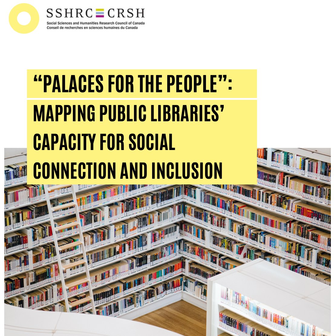 dr. nicole dalmer tweet media