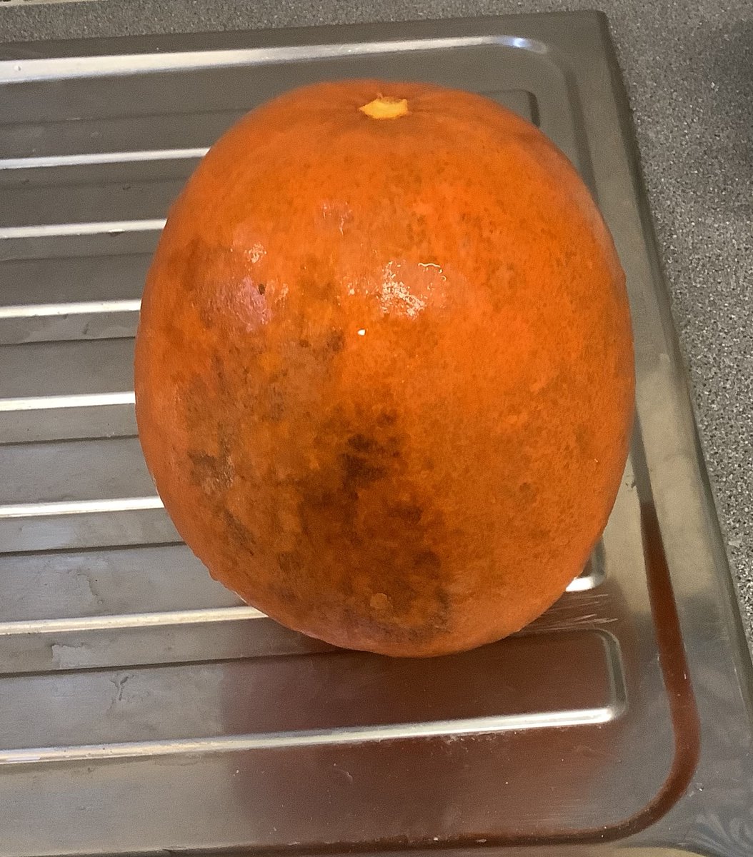 WA_Spilsby's tweet photo. Using pumpkins grown by our #LandBasedStudies pupils, look at these fantastic #risottos made by our Year 8 #FoodTech pupils! #crosscurricular #homegrown #horticulture #EducationForAll https://t.co/Z8rqYKXqzh