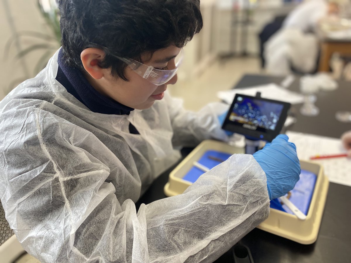 FisherRiana's tweet photo. When we give students the opportunity, respect, & materials to truly explore, they don’t just act like scientists — they ARE scientists!
#abd_mac #CCAexplores https://t.co/EYMdPFgkSn