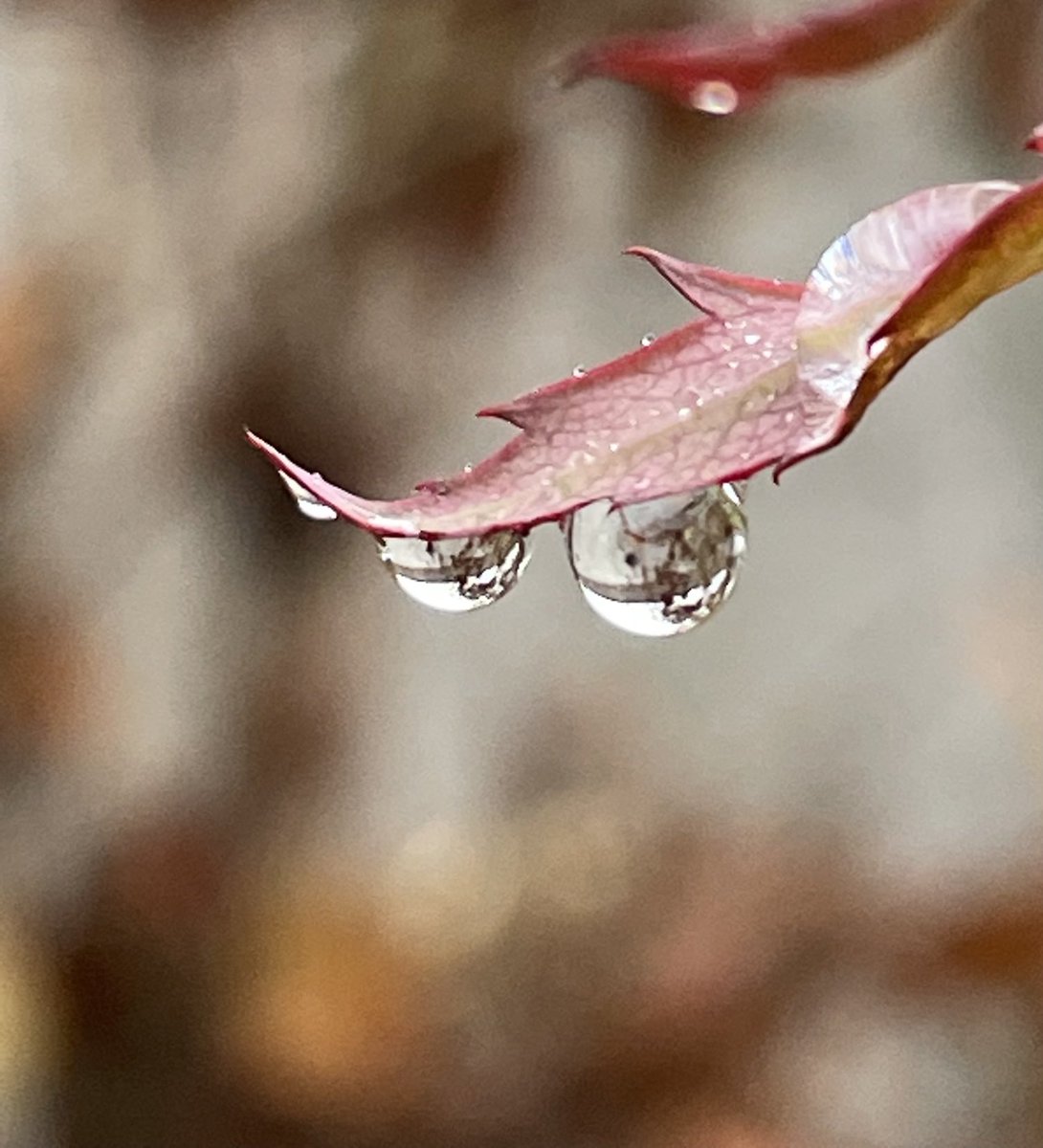 Die Natur ist immer neu, wenn das Auge frisch bleibt.

- Max von Eyth