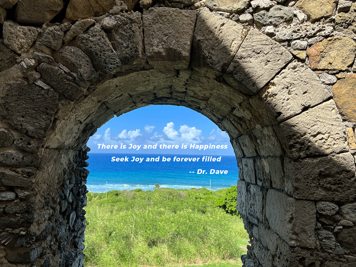 Seek Joy over Happiness -  Dr. Dave KnolShare Stories Newsletter - mailchi.mp/knolshare/drda…