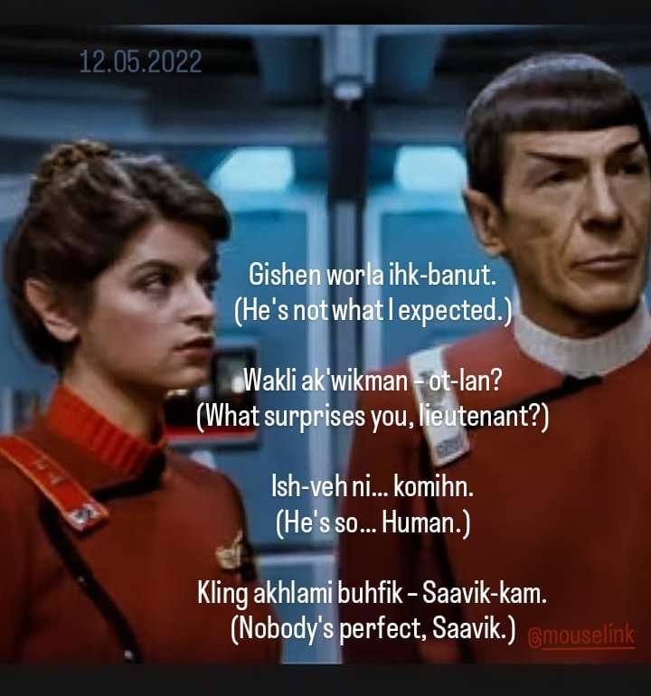 Matteo Wyllyamz tweet media