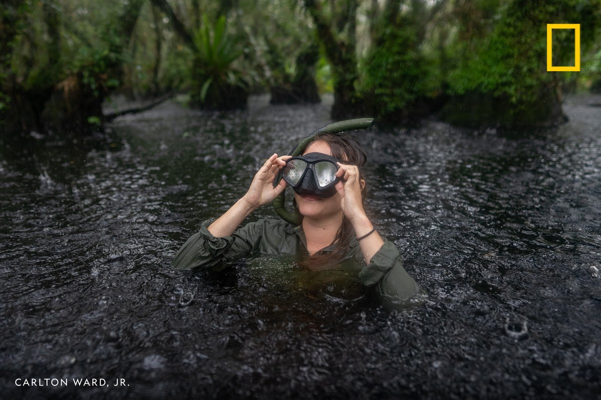 National Geographic tweet media