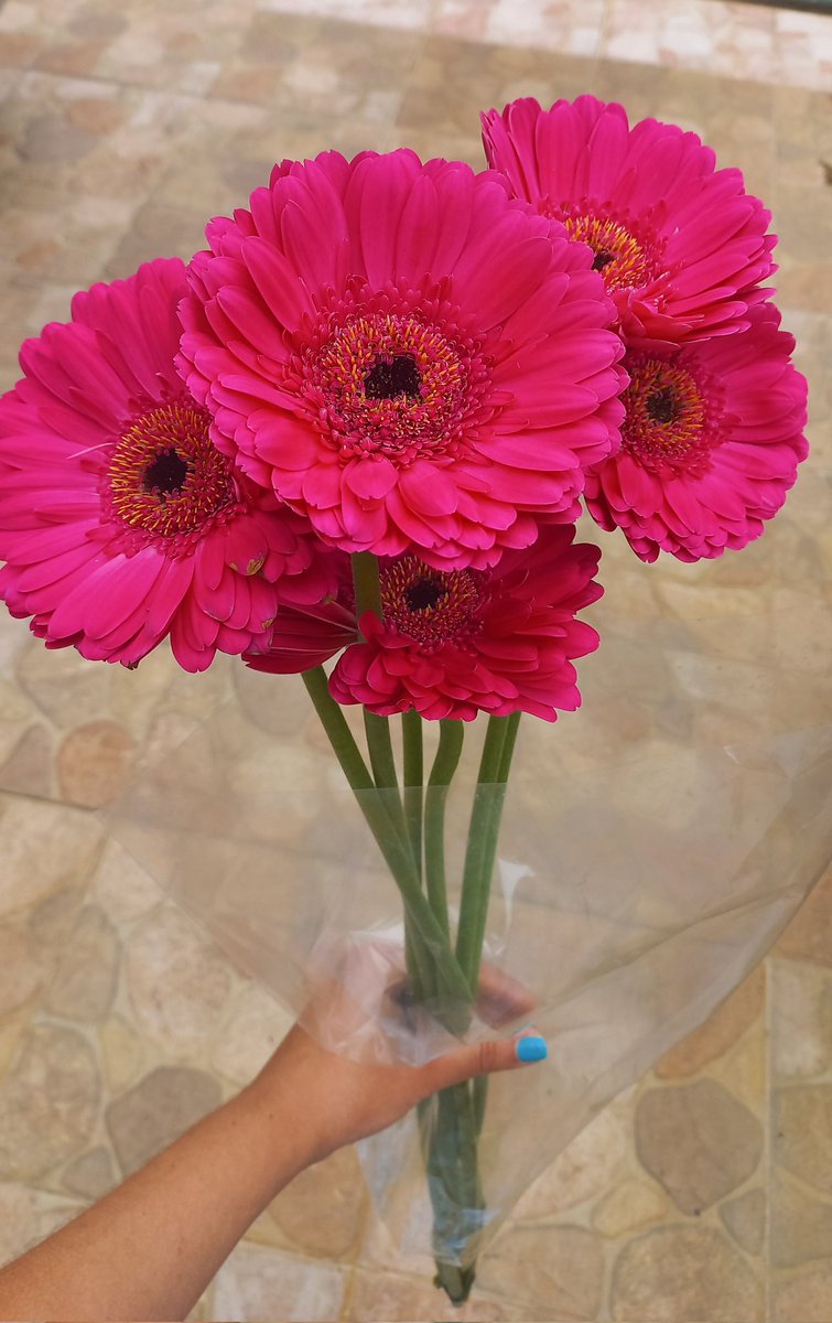 27 years of adventures, I just thank God for where I am now  🤍