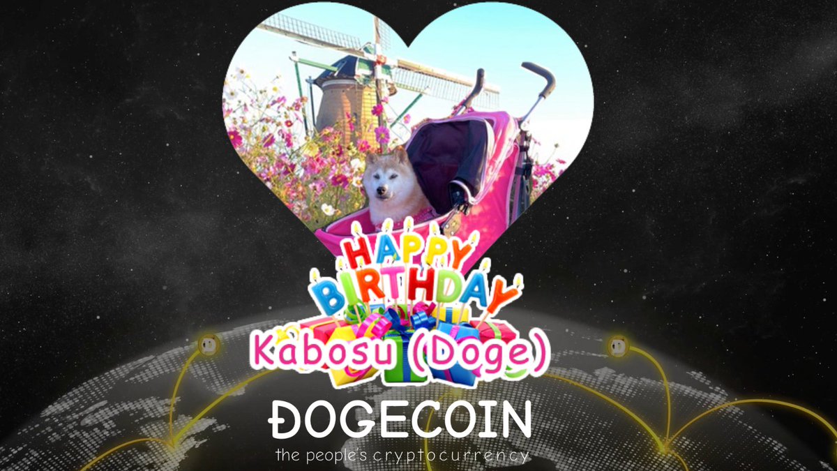 DogeGF tweet media