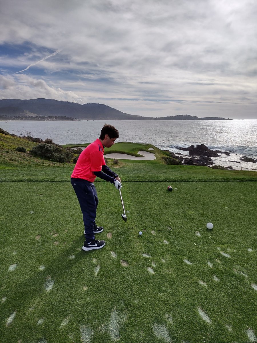 Stephanie tweet media