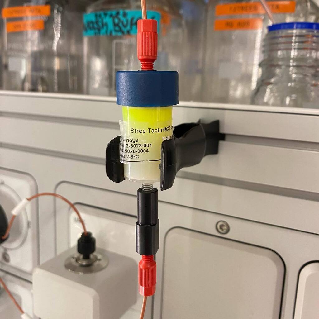 GFP FTW 🙌 instagr.am/p/Cl1TrGftJo9/