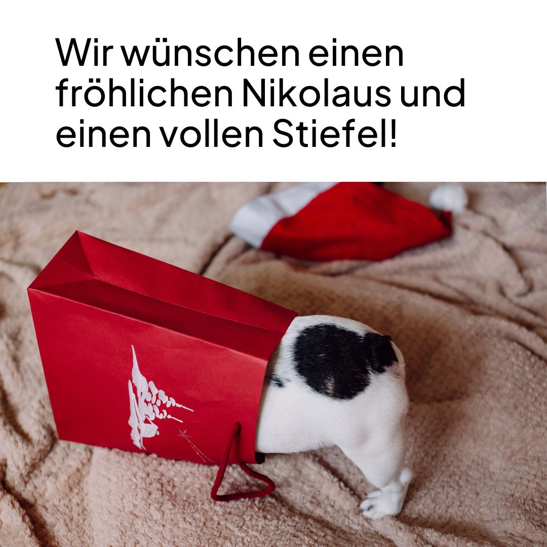 BE-U | Behrens-Ufer tweet media