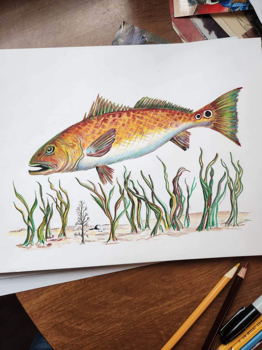 Working on a redfish!