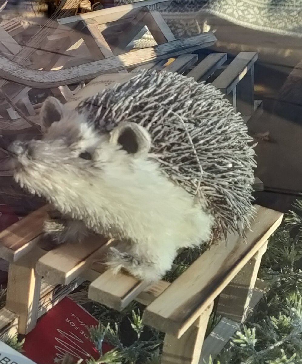 KlausMHome's tweet photo. Nothing says Spirit of Christmas better than fluffy, glittery replicas of our depleted wildlife. #tomorrowslandfill #ClimateCrisis #BuyitStoreitBinit https://t.co/eRxxShbnl7