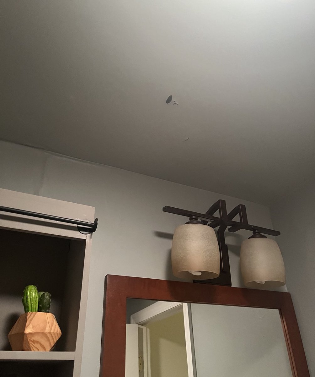JonR0109's tweet photo. Woke up to a crack in the ceiling, the bathroom above this one is leaking and needs to be replaced and now the entire ceiling is about to fall into this bathroom too 😓 #HolidaysWithMarcus https://t.co/NqC1b4Tir6