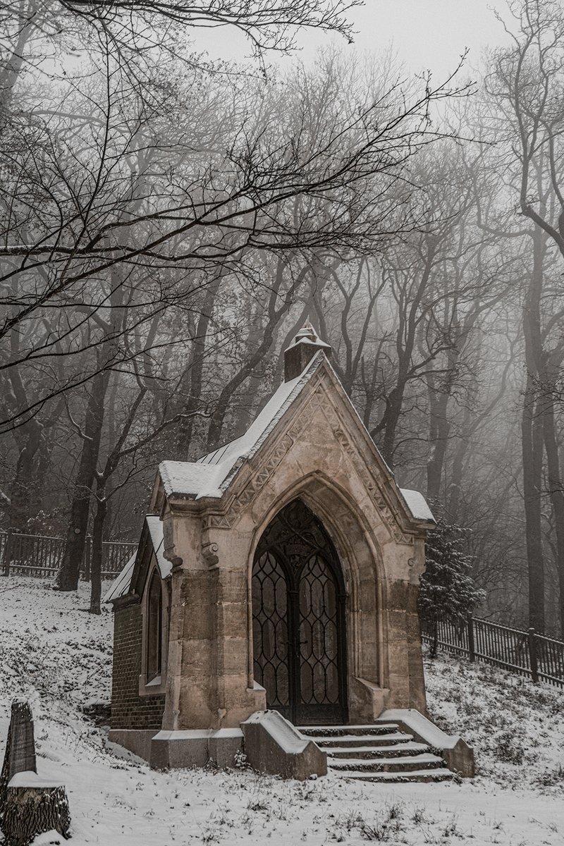 I took a picture of a tomb in the snow. Enjoy. Thanks. And see ya.
#photography #moody #fog #coldseason