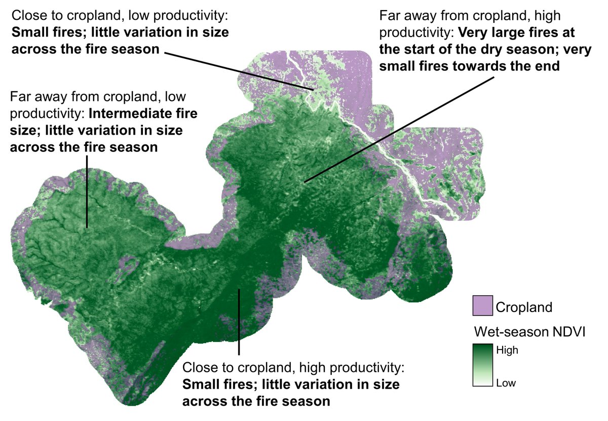 New #openaccess paper alert: We use satellite data to show how cropland configuration (not just extent!) interacts with climate-related drivers to shape #fire size in a West African transboundary protected area link.springer.com/article/10.100…