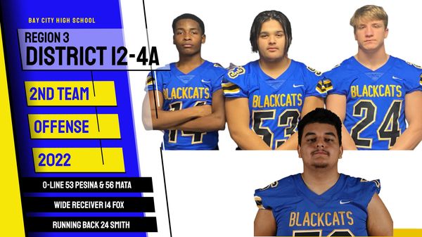 BCISD's tweet photo. Congratulations to our Blackcat District 2nd Team Award Recipients! https://t.co/ZalqbqHhGz
