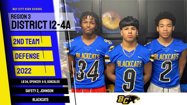 BCISD's tweet photo. Congratulations to our Blackcat District 2nd Team Award Recipients! https://t.co/ZalqbqHhGz
