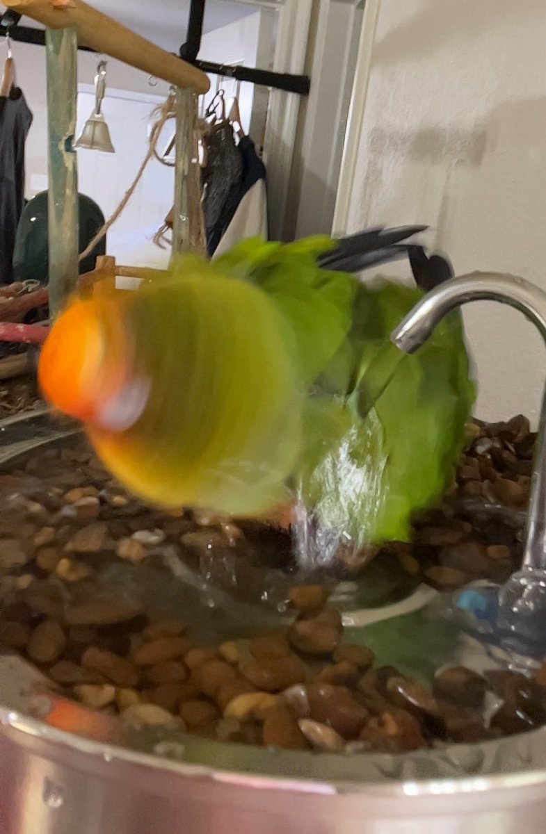 water makes him blurry