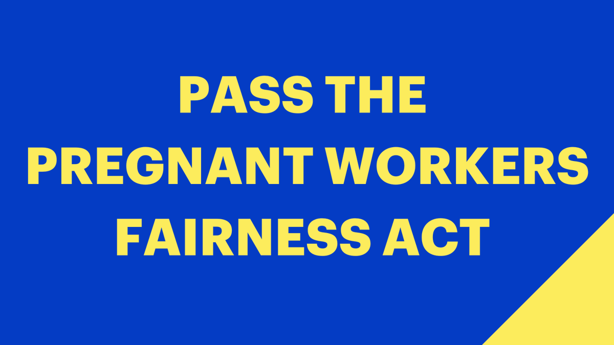 WhitneyPesek's tweet photo. The Pregnant Workers Fairness Act must pass this year - the health and livelihood of millions of women are on the line! @SenSchumer and Congressional leaders must not go home until we #PassPWFA! 

#ProtectPregnantWorkers and contact Congress now: https://t.co/PpJF5JcctS https://t.co/jGIplEM9Wh