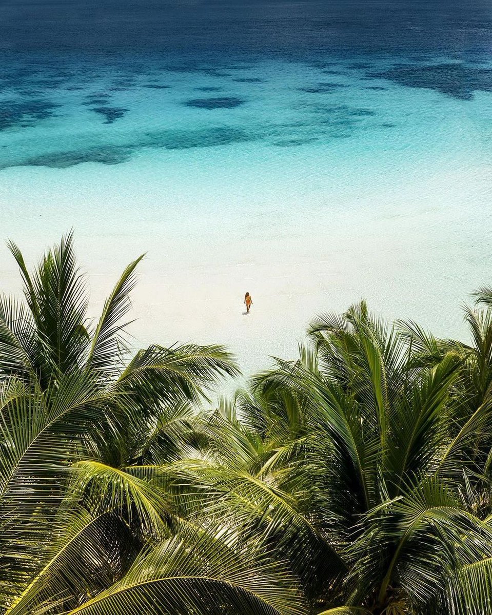 corona's tweet photo. #Malenge encourages all to take the time to snorkel, swim, and relax in the golden sand.
For those who want to explore more of #TogianIsland, try trekking. With lush forests and rich stories from locals, explore the secrets of Malenge Island.
#ThisIsLiving
📷: @ melly_ba https://t.co/ux3SoXhh2S