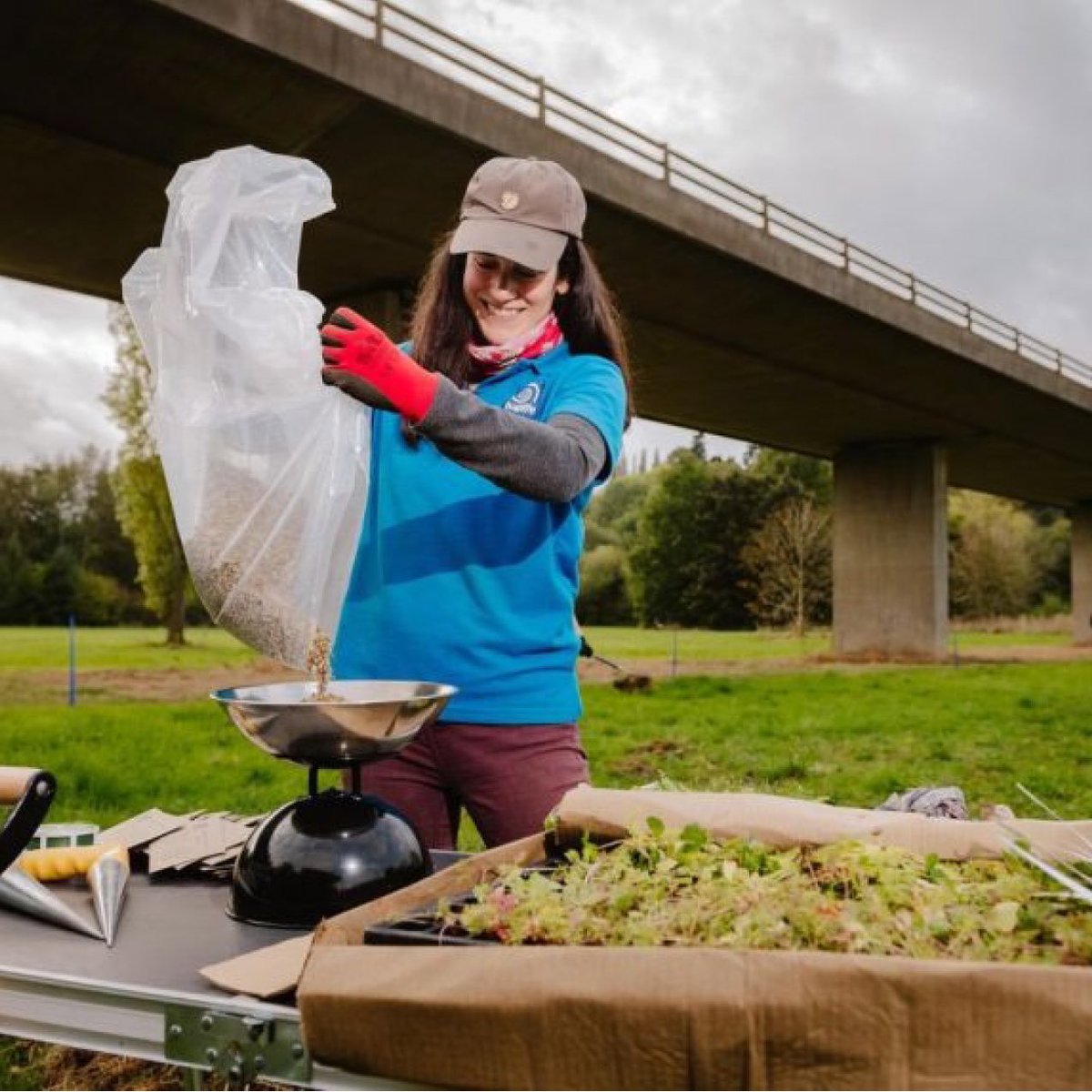 BownCherisse's tweet photo. Look how youโve helped nature!..๐
Urbee is proud to donate 10% of sales profits to the wonderful conservation charity @buglife_ict
During 2022, your purchases have directly benefited nature by purchasing wildflower seed to sow 1050 sq metres of the Severn B-lines! ๐ธ Thank you! https://t.co/yYvI3IM0zd