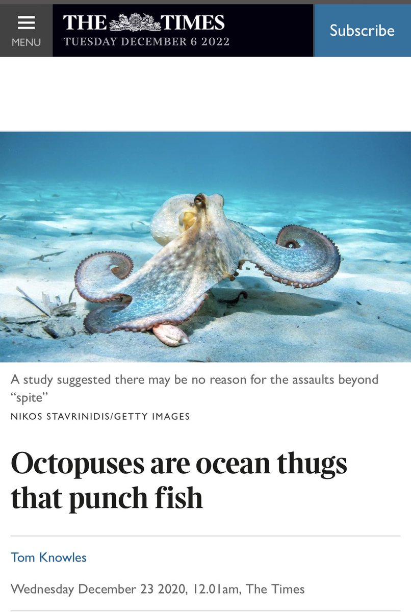 king_trish's tweet photo. I missed this story when it came out but I love it. Never underestimate a cephalopod #watsonathon https://t.co/Y8hkgcc0CU
