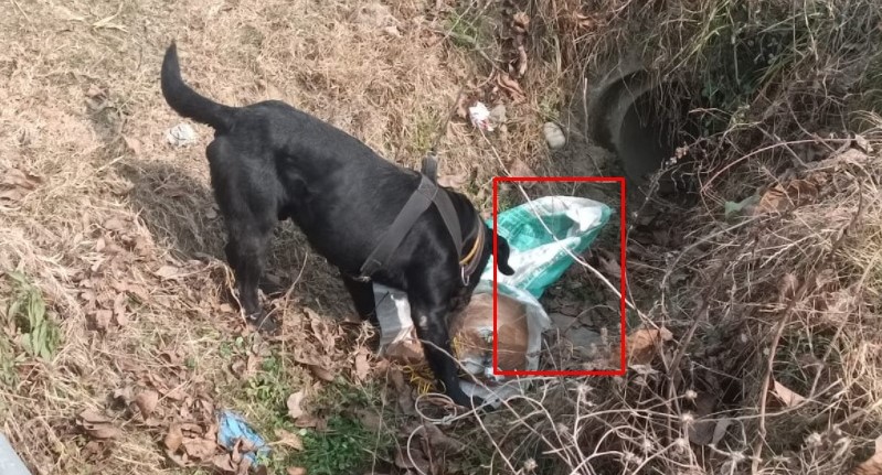 ChinarcorpsIA's tweet photo. #Chinarwarriors &amp; @JmuKmrPolice averted a major terror attack today by recovering &amp; in-situ destroying an #IED at Tikroo, #Shopian.

#IndianArmy stands by its commitment to keep
#Kashmir terror-free.

@adgpi 
@NorthernComd_IA 
@OfficeOfLGJandK https://t.co/LURJJsrfYP