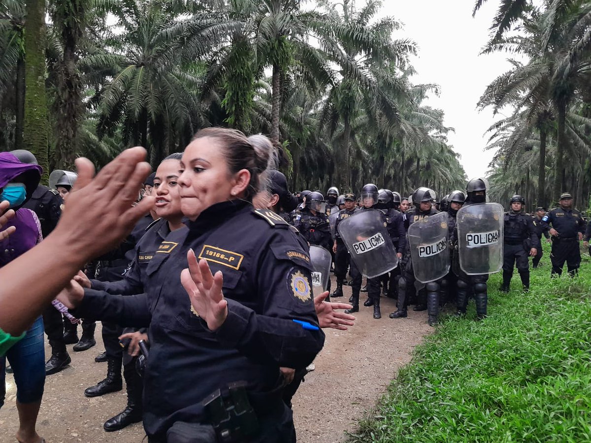 #Urgente Con fusiles en mano, fuerzas de seguridad  pretenden despojar de su territorio y capturar a miembros de la comunidad Q'eqch'i' Chapin Abajo en Izabal  poniendo en peligro la vida de las familias. 
Empresa de Palma Africana y el ESTADO los responsables.
📸 Cortesía