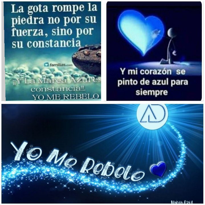 @Gloria263263051 <a href="/Luisa43833694/">EN💙CONTRA💦DE💙LAS💦INJUSTICIAS</a> @ISABEL23681578 @beltxu47 <a href="/AnaFern51016695/">Ana Fernandez</a> @Elvirily @Rowi114 <a href="/macasaga2/">M.Carmen 💛🤗🍀</a> @EstherliMakerli <a href="/Rogelia50318250/">Rogelia</a> <a href="/macasaga1/">MªCarmen 🫂⚖️🥰</a> @Mari196222 <a href="/Merce85599439/">Merce</a> <a href="/EasyTravelNow2/">Easy Travel Now</a> <a href="/elena_antequera/">Ele Antequera</a> <a href="/Dolors11900944/">Dolors</a> @PilarGarciadel7 <a href="/mcg_mlg/">Maria del Carmen Gomez Miranda</a> <a href="/Marimar66842849/">Marimar</a> <a href="/NT83631763/">N. T</a> <a href="/giannioma/">Julia Domingo</a> <a href="/Nora1234938/">Nora 👀🍀♣️🇺🇾</a> @BlueForEverAD <a href="/FedoraPayan/">Fedora</a> <a href="/SharaParaiso/">Shara 💙</a> <a href="/consutr/">Consu💙💙</a> <a href="/dla_azul/">#YoMeRebelo</a> <a href="/Noa_mana/">🎗️noa_mana🎗️</a> <a href="/2020Mertxe/">Mertxe 2020</a> <a href="/Abuquina1972/">💙 ᕱცuգuᎥՈᕱ 💙_⚖ Justicia Divina ⚖</a> <a href="/Marian80892620/">Marian</a> <a href="/MariMar67963233/">Mari Martinez</a> <a href="/LauriValencia15/">LauriValencia</a> <a href="/laurarg122/">Lau</a> @Brianacelta <a href="/Mariamendozalo8/">Maria .mendoza lopez</a> <a href="/Taidia1965/">nerea</a> <a href="/SoleBarsa/">Sole</a> <a href="/MariMar68035982/">Mari Martinez</a> <a href="/HorcajadaAdela/">adela horcajada</a> <a href="/yodomenech/">Yolanda</a> <a href="/NinesNoemi/">angeles fernandez</a> <a href="/LaTurquessa/">LATURQUESA💙</a> <a href="/Seram110/">Seram1</a> <a href="/mmloopez/">Maribel Márquez López</a> <a href="/adavidflores/">ANTONIO DAVID FLORES</a> <a href="/rotrece/">Rociio †</a> <a href="/lafabricadelatv/">Fábrica de la Tele</a> 🌻#YoMeRebelo6D ⚖️ #YoMeRebelo6D ⚖️🦋🌻 🍀💛 😘
•AD es INOCENTE.
•Sus vidas privadas, son suyas.
Marea Azul, seguimos... •Vamos, al menos yo,  contra lfdlt y demás advenedizos, no desviemos el foco.