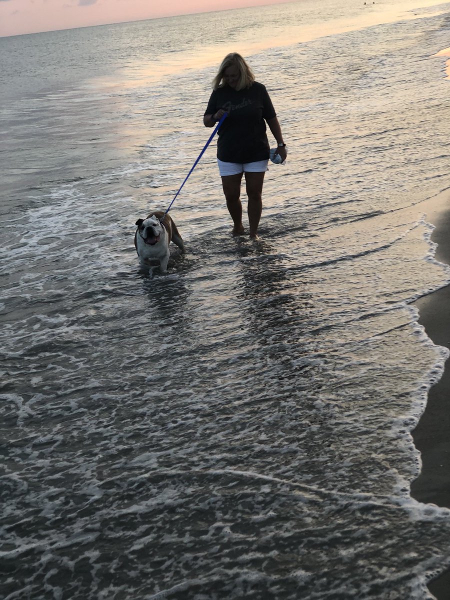 metalfabgirl's tweet photo. #Sampson My best friend, hiking buddy and beach bum! Forever missed!
Dec. 2010 - Dec. 6, 2021 https://t.co/VCiGksyvLd
