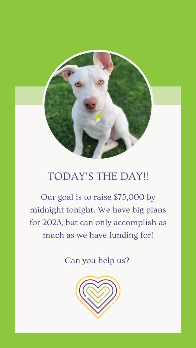 #coloradogivesday #rescuedogs #adoptdontshop #animalrescue #whitelab