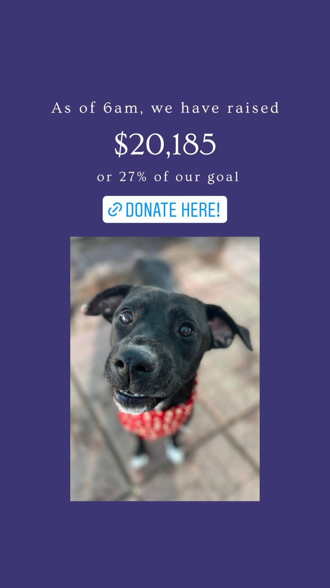 Link in bio to donate. #coloradogivesday #AdoptDontShop #adoptapet #findyourmax #donate #coloradodogs #coloradolife