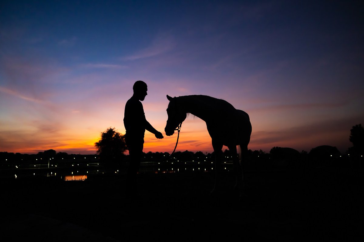 anavrinrak's tweet photo. Horses are central to the idea of Anavrin. For poetry in motion, look no further than these majestic creatures that add a distinct charm to Anavrin.
To know more, click on the link in bio.
#Equestrian #Retreat #Horses #Sustainable #Ecofriendly #solarpowered #wowrak #rak https://t.co/1FS0N3px8b