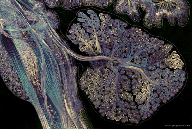 Cerebellum has over 50% of the total number of neurons in the brain:

#neuroscience by G. Dunn