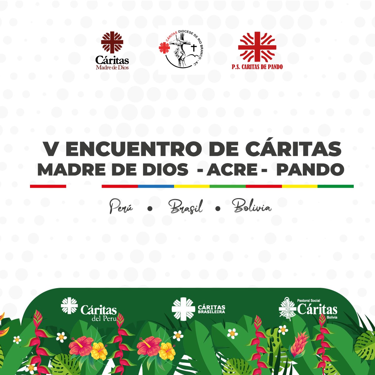 Cáritas Madre de Dios tweet media