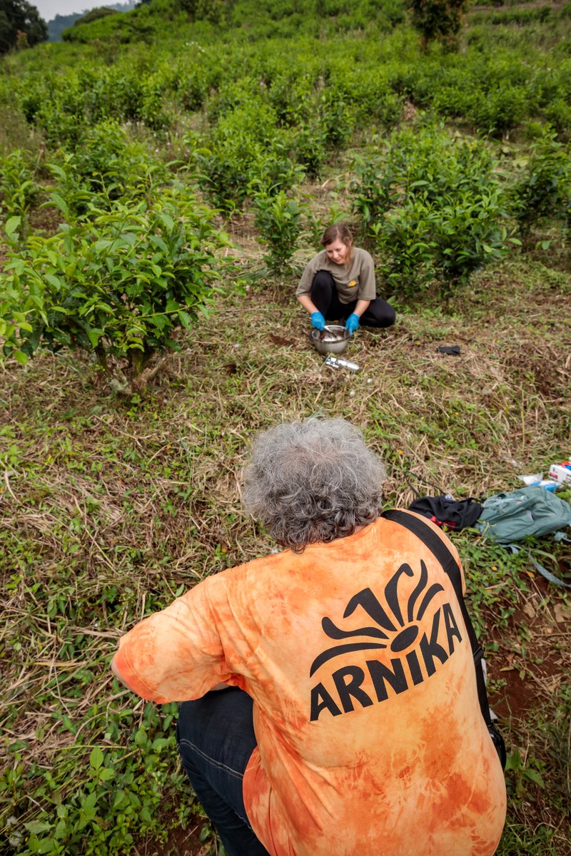 JPetrlik's tweet photo. We are sampling sites in #Indonesia with @FokusNexus3 and small @arnikaorg team @KilljoyNyuu @GrechkoValeriya. We will also present results of analyses from #Karawang, the site on the edge of #Jakarta metropolitan area where they burn #plastics in lime kilns. @ismawati64 https://t.co/REO0ctI1eU