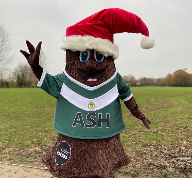 Ashford United FC tweet media