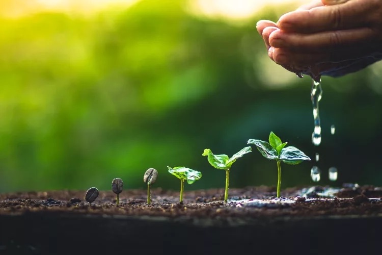 I just finished and submitted my manuscript for "Growing Songwriting" to Oxford University Press. I am excited to move it along the line and see it closer to being "out there". This is the cover art. #musiceducation #songwriting <a href="/OUPMusic/">Oxford Music</a> <a href="/USFResearch/">USF Research</a> <a href="/TheArtsatUSF/">The Arts at USF</a>