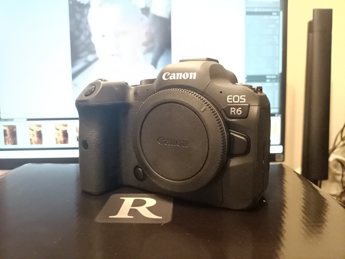 Finally took the plunge to upgrade my main body from my trusty 6D (that still blasts away with 500k shutter count) and 
<a href="/CanonUKandIE/">Canon UK and Ireland</a> 
 you've a winner in the R6. Finn shot at ISO25600 with just Xmas tree lights. AF insanely good even with antique 24-70 EF through the adapter