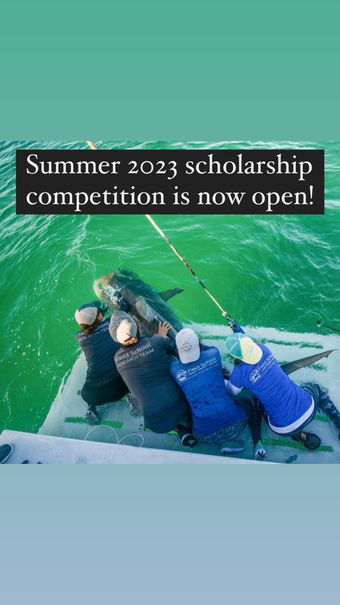 ⚠️Scholarship Opportunity ⚠️

The 2023 scholarship competition for our Intro the Shark Research Skills course is now open 🦈 Full and partial scholarships are available 🤑 Applications are due January 31st , 2023 📝 Follow the link in our bio to apply