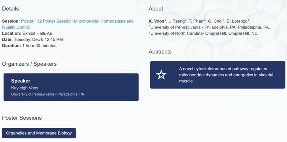 Lorenzo Lab tweet media