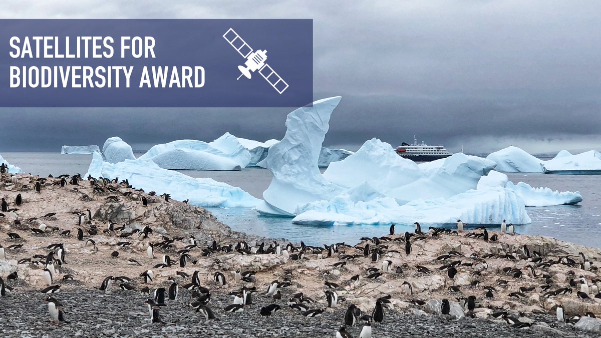 Connected_Cons's tweet image. Are you looking to use 30cm or 50cm high-resolution #satellite imagery for biodiversity conservation?🛰️
Apply for our new Satellites for Biodiversity Award!  We've teamed up with 
@AirbusFdn to award $5,000 &amp;amp; access to 
@AirbusSpace Pléiades &amp;amp; PNEO🌎

connectedconservation.foundation/grant-awards