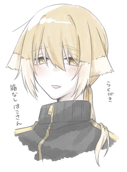 ※脱箱注意#bintrollFA 