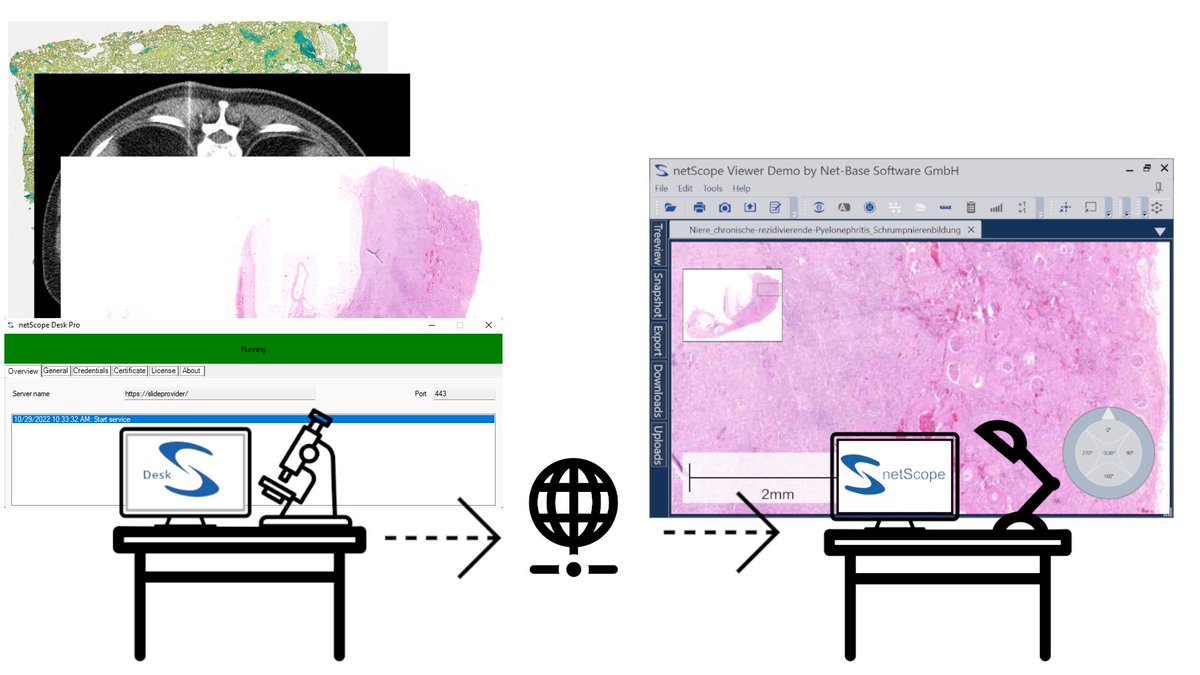 The new version of #netScope #Desk is 1.10. is out now. It is the best way to implement #histological external #findings for #WSI data.

Visit our Homepage
netscope.de/en/networking/…