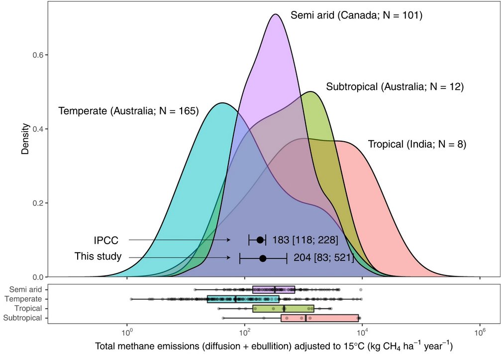 Communications Earth & Environment (@commsearth) on Twitter photo Agricultural ponds in the USA and Australia emit nearly double the amount of methane reported in their national greenhouse gas inventories.
@MartinoMalerba <a href="/BlueCarbonLab/">Blue Carbon Lab</a> @deakinresearch @DeakinCIE <a href="/PeterMacreadie/">Prof. Peter Macreadie</a> <a href="/LSchuster26/">Lukas Schuster</a>
nature.com/articles/s4324… Agricultural ponds in the USA and Australia emit nearly double the amount of methane reported in their national greenhouse gas inventories.
@MartinoMalerba <a href="/BlueCarbonLab/">Blue Carbon Lab</a> @deakinresearch @DeakinCIE <a href="/PeterMacreadie/">Prof. Peter Macreadie</a> <a href="/LSchuster26/">Lukas Schuster</a>
nature.com/articles/s4324…