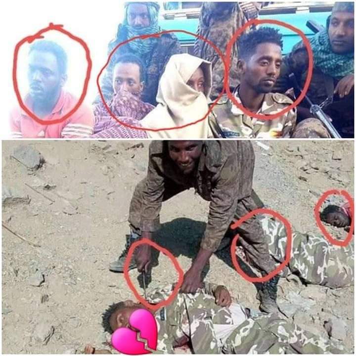 maku_sabawi's tweet photo. የ27 ዓመት ኣገዛዝ ጨለማ ነበር ያሉት ሰውን ኣርደው እንዳይበሉ ጠፍንጎ ስለያዛቸው ነበር .. #AmharaOutOfTigray #EritreaOutOfTigray #FIFAWorldCup #HarryandMeghanonNetflix #energybills #TikTok #lahoredapawa #babrimasjid #MINHO #البرازيل_كوريا_الجنوبية https://t.co/RxnUF7fADr