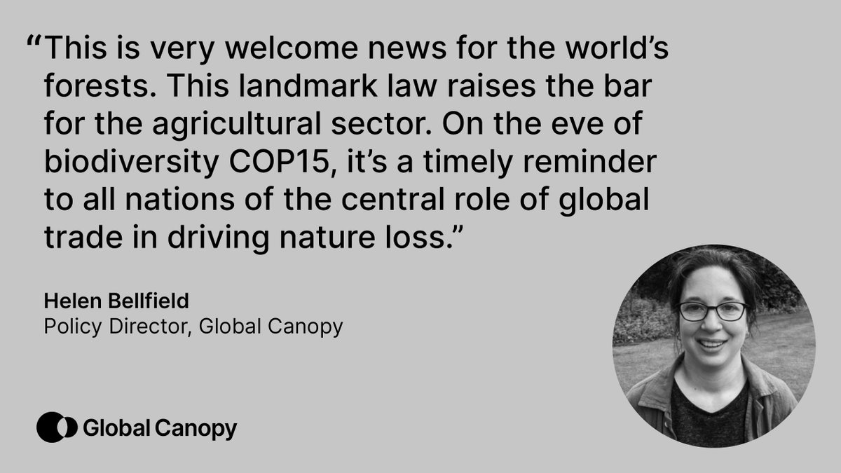 GlobalCanopy's tweet photo. The EU has reached agreement on the text of the #EU law on #deforestation-free products. 

Our response from Helen Bellfield, Global Canopy's Policy Director, a🧵

“This is very welcome news for the world’s forests.." https://t.co/SKah7RcvYm
