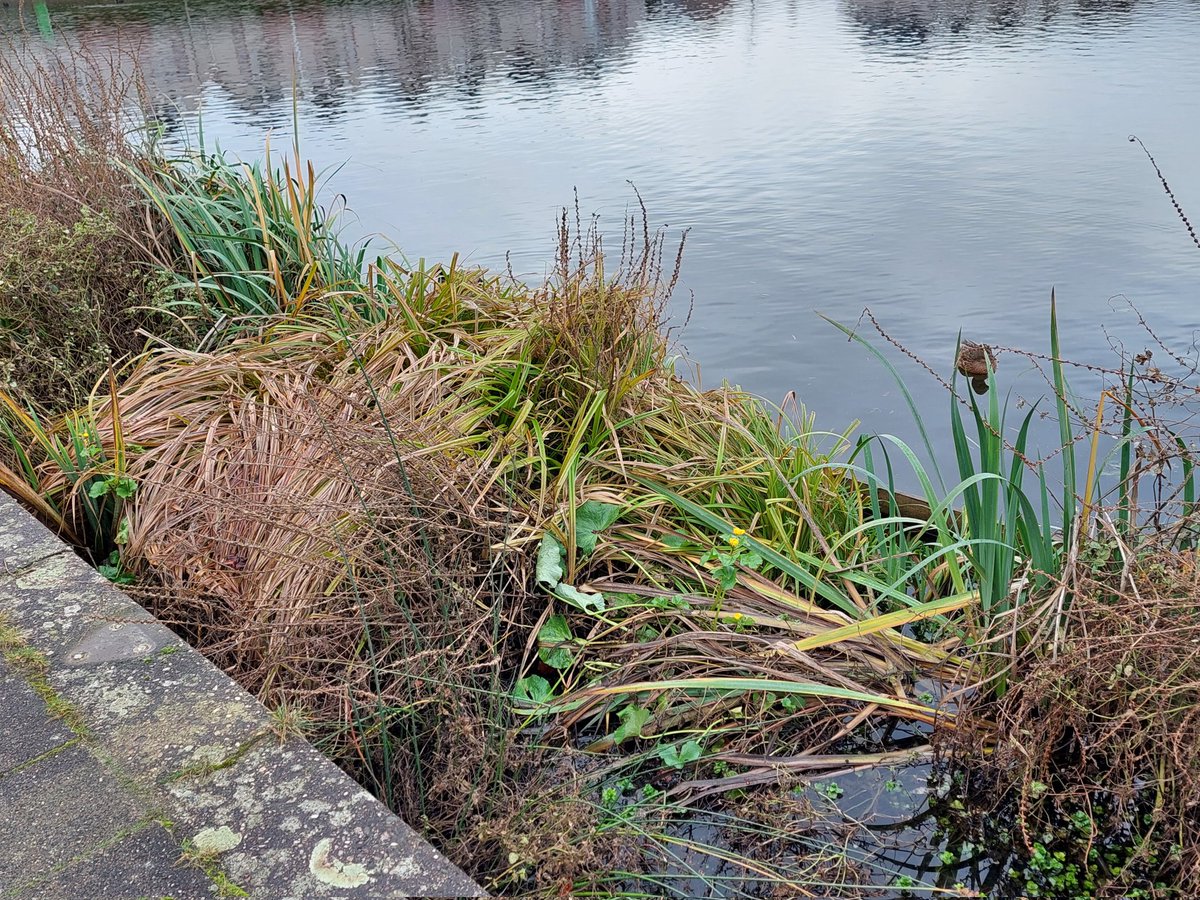 ecoloog079 tweet media