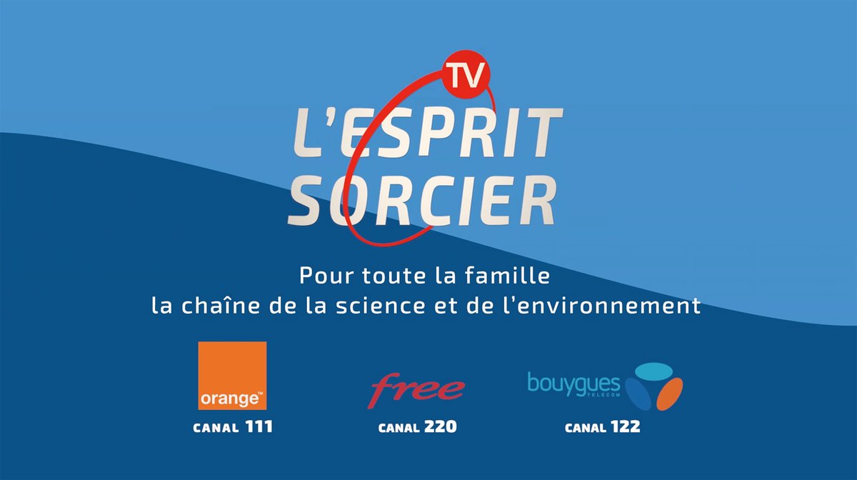 L'Esprit Sorcier TV tweet media