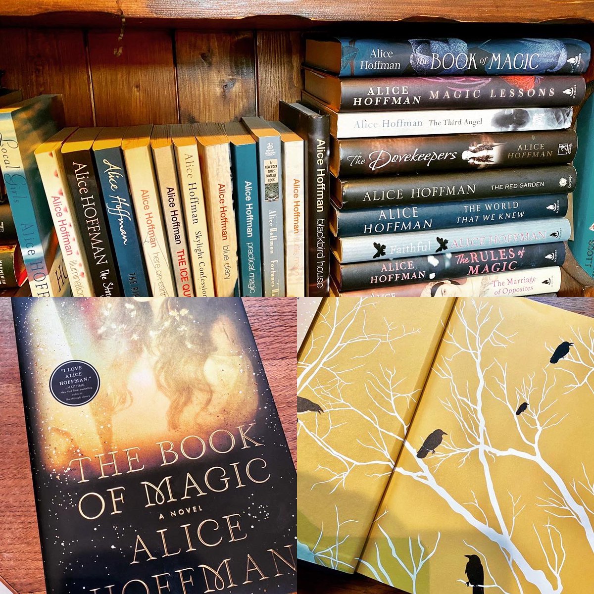 hayleylotusflo1's tweet photo. Day 6 of the @Squadpod3 Advent Calender is our favourite authors and here’s mine. I love Alice Hoffman and her mix of strong female characters and magic realism. Here’s my Alice shelf and my best copy of #TheBookOfMagic #adventchallenge #favouriteauthor #alicehoffman https://t.co/Im3fNOcIsG