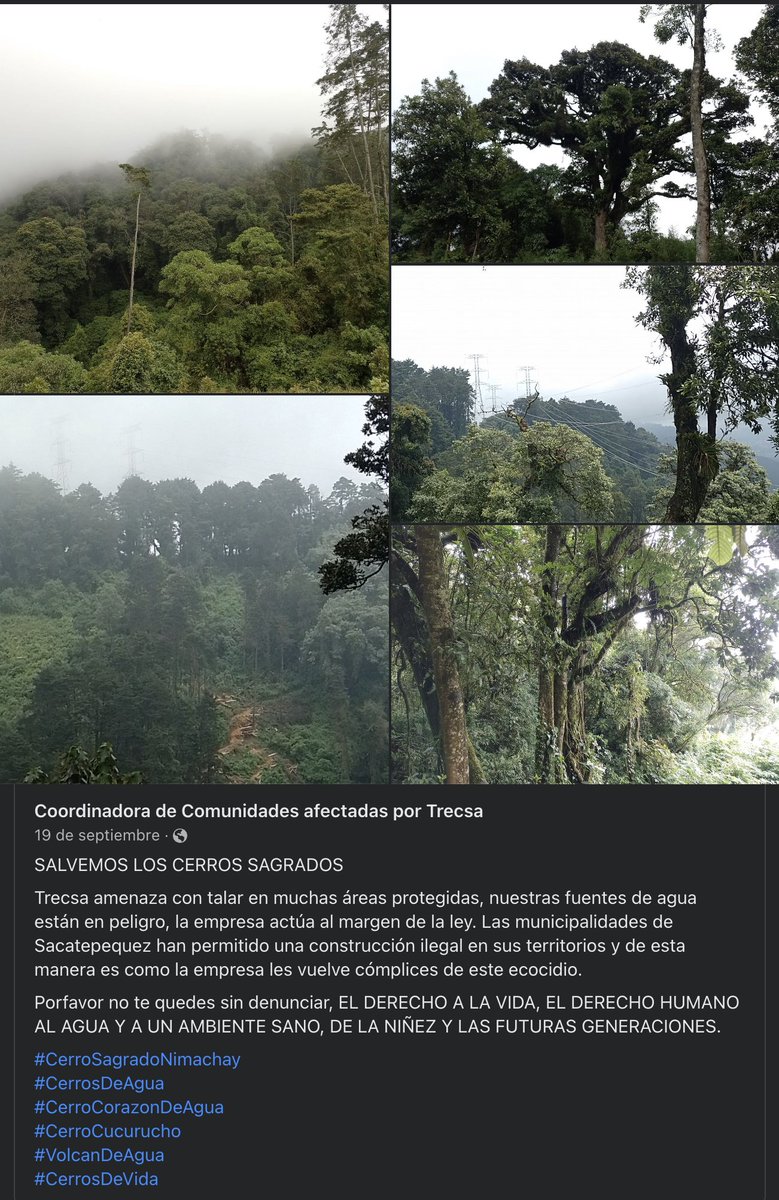 Factor4_GT's tweet photo. 2. La Coordinadora de personas afectadas por #Trecsa no desfallece en su lucha de salvaguardar los cerros que están siendo destruidos por una empresa que sigue operando sin autorización. #CerroSagradoNimachay #CerrosDeAgua
#CerroCorazonDeAgua
#CerroCucurucho
#VolcanDeAgua https://t.co/ZJwyN4KU14