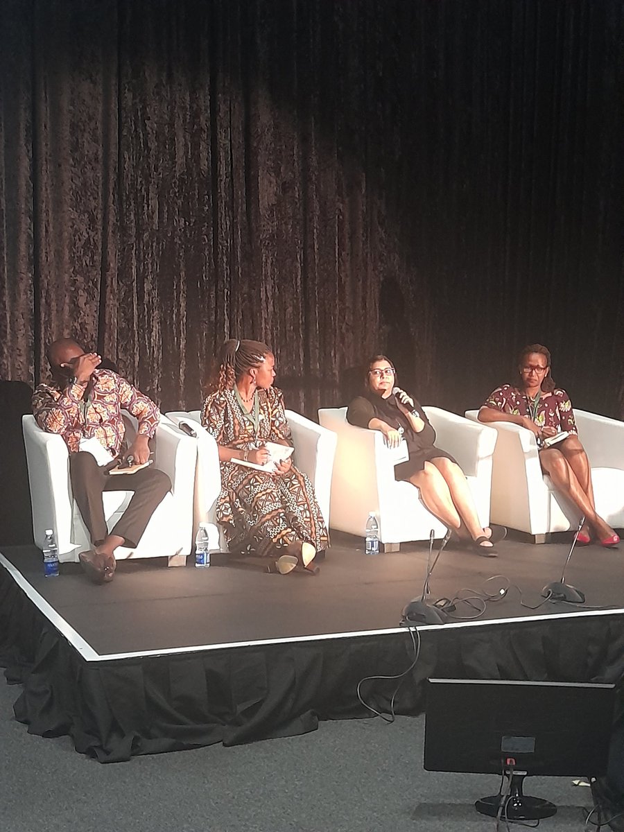 Panel discussion consisted of four early career researchers (Dr. Fides Izdori, Dr. Kwabena kan-Dapaah, Dr. Rubina Bunjun, and Dr. Eveline Fulbert Windinmi) who shared their experience, challenges and opportunities .
<a href="/fides_j/">Fides J Izdori</a> @FSNetAfrica <a href="/UCT_news/">UCT</a>
#PERKA